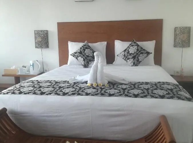 Hello Canggu (Bali)